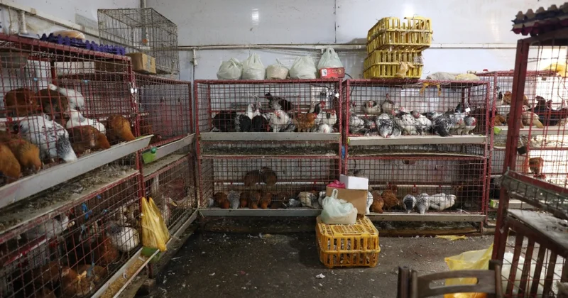 “Nəzrin E” MMC də yoxlama aparıldı Ciddi nöqsanlar aşkarlanıb (VİDEO)