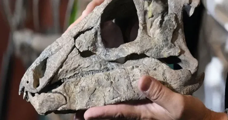 Dinozavr ətinin dadı necədir? Gözlənilməz CAVAB