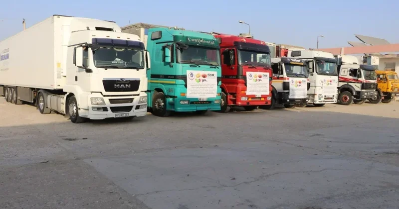 Əfqanıstan Özbəkistan vasitəsilə Orta Asiyaya meyvə ixracına başlayır