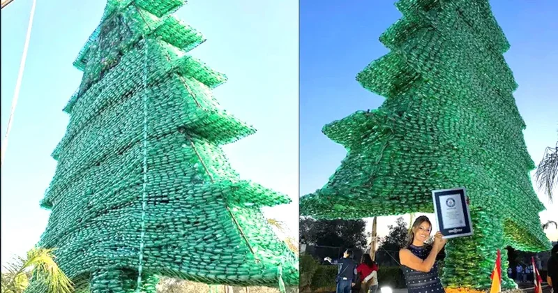 Plastik butulkalardan sərv ağacı hazırladı, Ginnesə düşdü