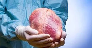 Meyitdən alınan orqan neçə saat yararlıdır?