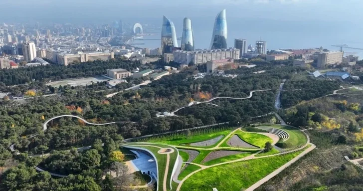 Зеленый щит Азербайджана: как лесные угодья станут ключом к экологическому будущему страны