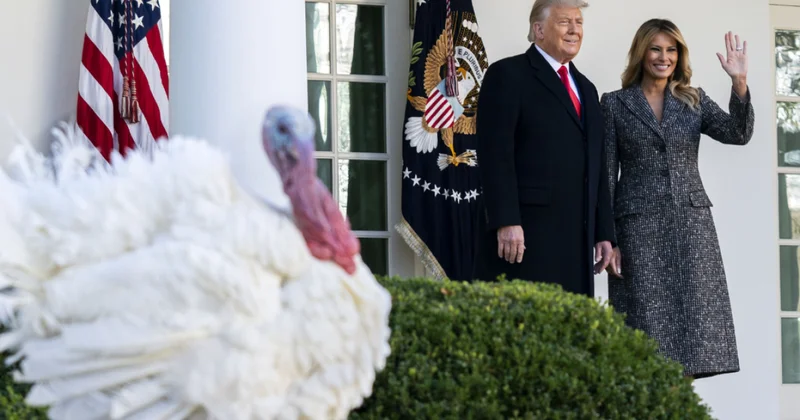 Трамп помиловал двух индеек