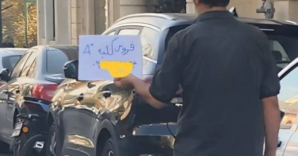 İran küçələri orqan bazarına çevrilir