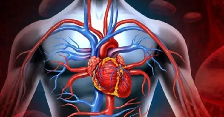 Kardioloq ürək və damar sağlamlığını qorumağın əsas yollarını AÇIQLADI