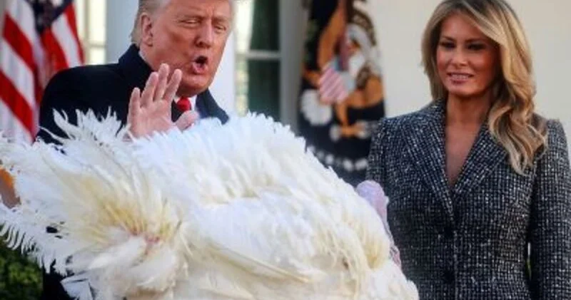 Tramp iki hinduşkanı əfv edəcək