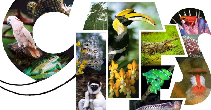 Səmərqənddə qlobal ekoloji problemlər müzakirə olunur