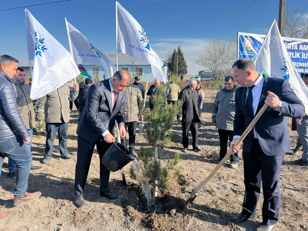 Cənab Prezident İlham Əliyevin doğum günü münasibətilə Samuxda ağacəkmə aksiyası keçirilib