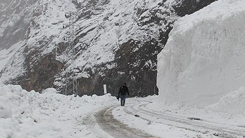 Qar qəzaya səbəb oldu: 2 ölü, 16 yaralı