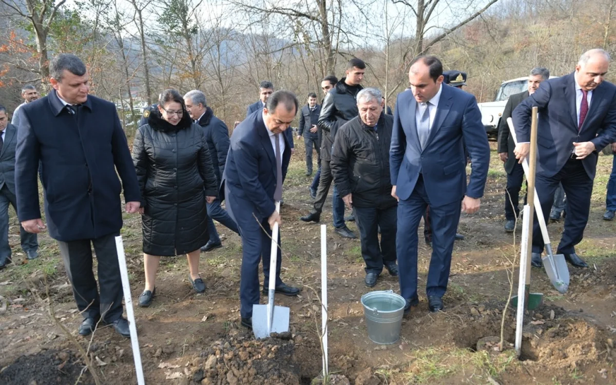 Lənkəranda “Yaşıl dünya naminə həmrəylik ili” çərçivəsində 3300 dəmirağacı əkildi FOTOLAR