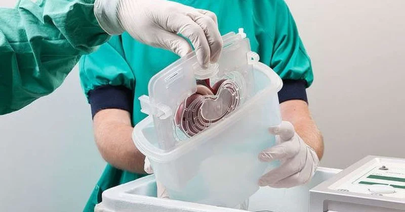 Orqan alveri edən qadın Qazaxıstana ekstradisiya edildi Azərbaycanda da fəaliyyət göstərib