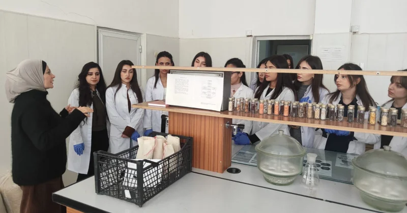 ADPU tələbələri Genetik Ehtiyatlar İnstitutunda təcrübə dərsində iştirak ediblər