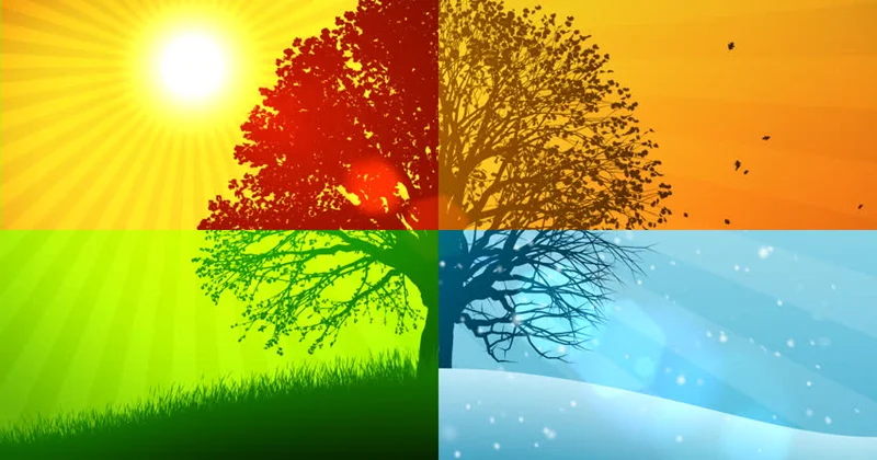 2026 cı il üçün fəsillərin daxil olma vaxtı açıqlanıb