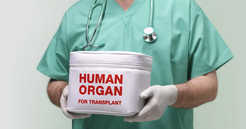 Украинку, торговавшую органами азербайджанцев, экстрадировали из Польши в Казахстан Minval Politika