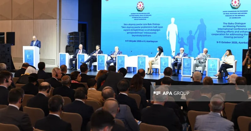 Bakıda itkinlərlə bağlı keçirilmiş beynəlxalq konfransda qəbul edilən bəyannamə BMT sənədi kimi dərc olunub