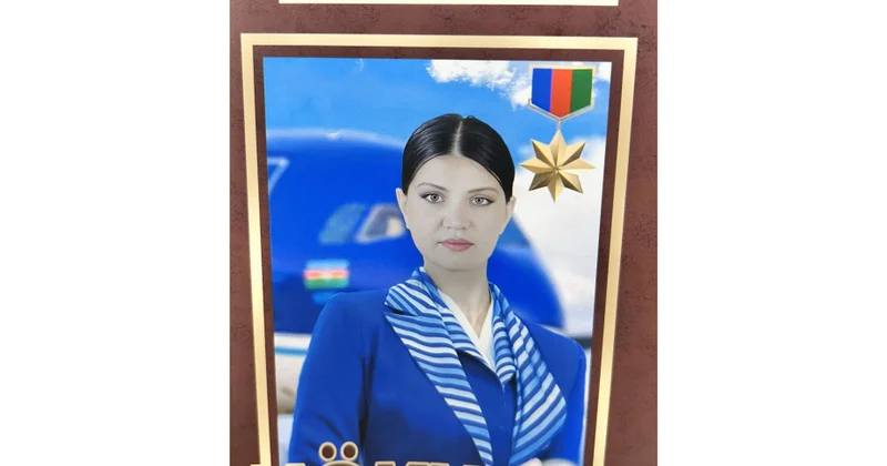 Mahir Cavadlının “Hökumə” poeması kitab halında çap edilib