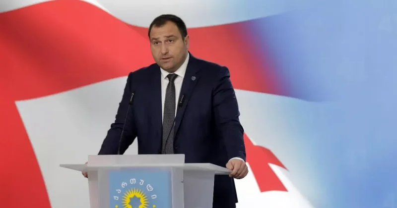 Депутат Кирцхалия: Придет время, когда Европа вернется в Европу