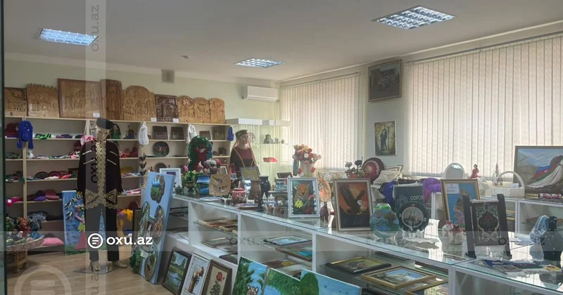 Əlilliyi olan gənclərin peşə reabilitasiyası necə həyata keçirilir? Mərkəzə mediatur təşkil olunub