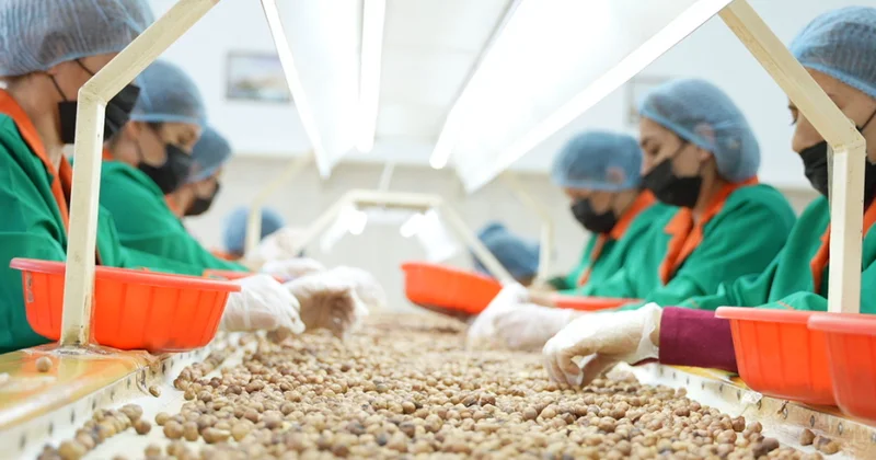 Əhalinin sağlam qidalanmasının təmini Qida təhlükəsizliyi siyasəti