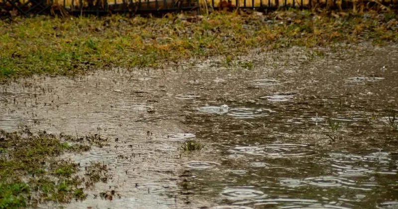 Bəzi yerlərdə hava şəraiti qeyri sabit keçəcək XƏBƏRDARLIQ