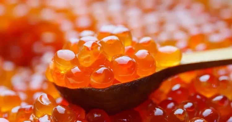 Bu qırmızı kürü “dünyanın ən yaxşısı” adlandırıldı