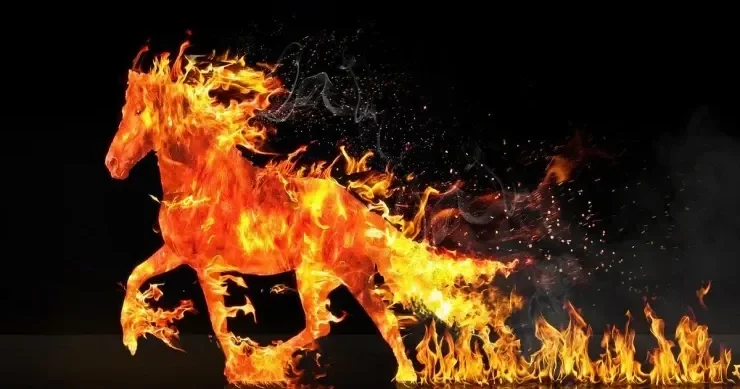 2026 cı ilin himayədar heyvanı: Hər BÜRCÜ nə gözləyir?