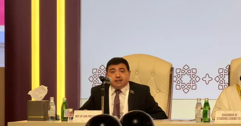 Millət vəkili APA da Azərbaycanın regional və tranzit rolundan danışdı