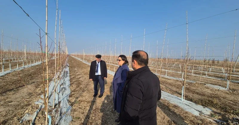 Nazir müavini fermerlərlə görüşüb FOTOLAR