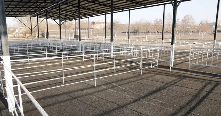 Еще один животноводческий рынок в Азербайджане возобновляет работу после введенных ограничений