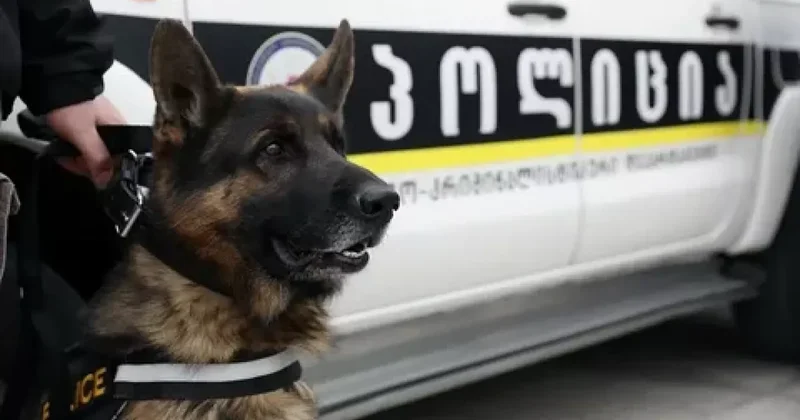 Полиция Тбилиси задержала в аэропорту россиянина с кокаином