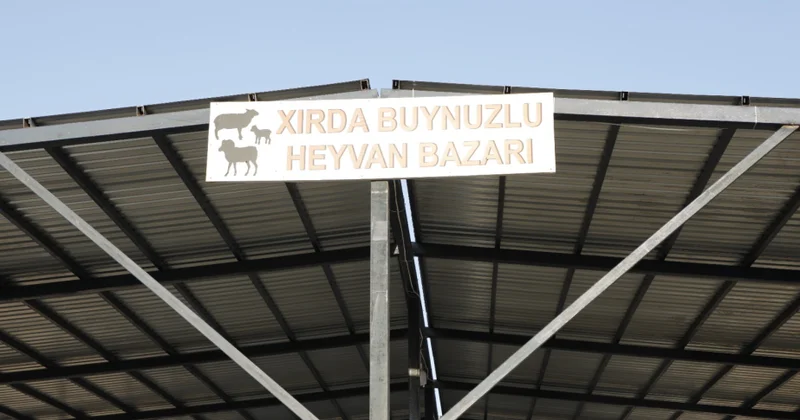 AQTA: Göygöl rayonundakı heyvan bazarında yenidənqurma işləri yekun mərhələdədir