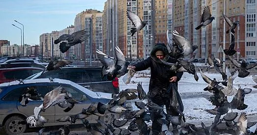 Bu rus şəhərində göyərçinlərin yemlənməsi qanunla qadağan edilib...