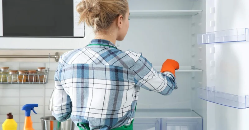 Soyuducunu necə düzgün təmizləməli? Mükəmməl təmizlik üçün addım addım təlimat