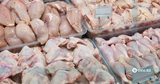 Nigeriyada taun, Monqolustanda dabaq xəstəliyi... Hökümət hərəkətə keçdi