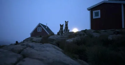 Tramp Qrenlandiyanı işğal etmək istəyir?