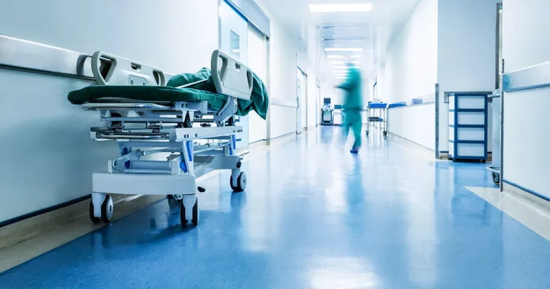 В Бразилии пираньи растерзали двухлетнюю девочку