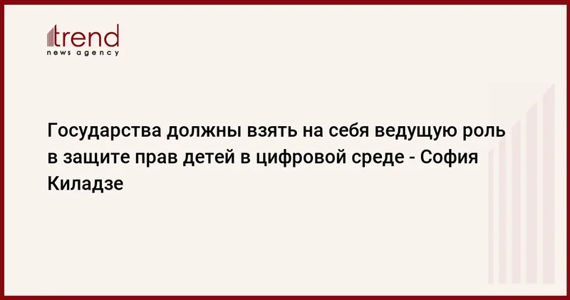 Государства должны взять на себя ведущую роль в защите прав детей в цифровой среде София Киладзе