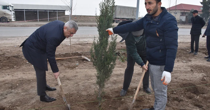İmişlidə Prezident İlham Əliyevin doğum günündə ağacəkmə aksiyası keçirildi Fotolar