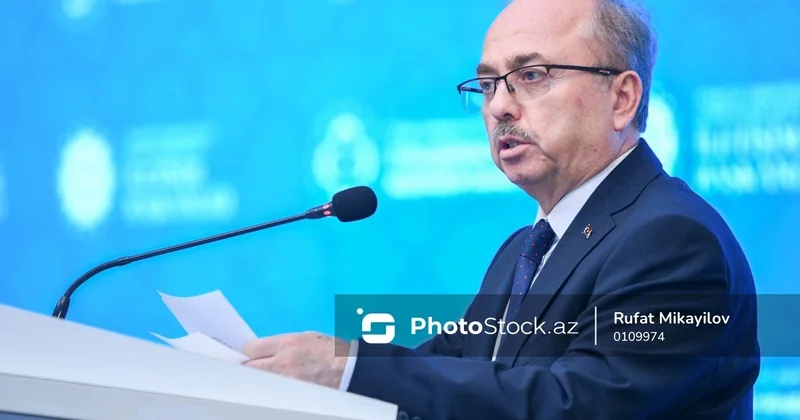 Səfir: Zəngəzur dəhlizinin açılması bölgəyə sülh və sabitlik gətirəcək