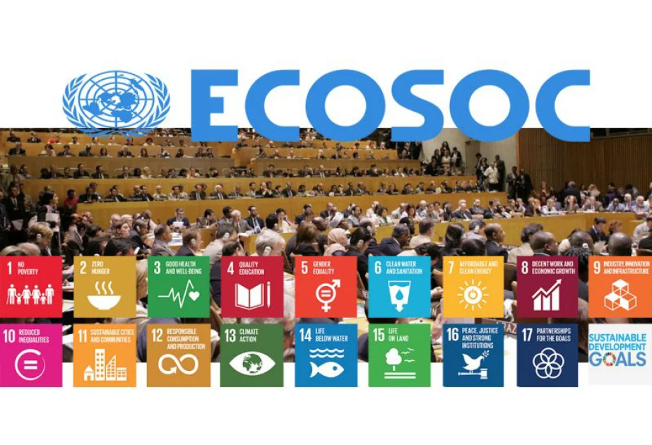 Ermənipərəst QHT nin ECOSOC statusu ləğv edilməlidir Ekspert şərhi