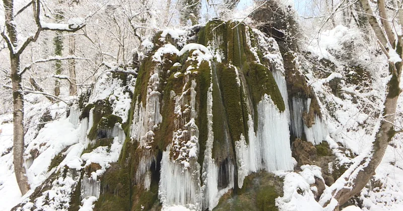 İlisu Milli Parkında qış lövhələri FOTO