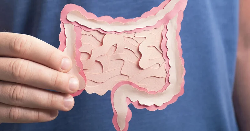 Bağırsaq iltihabının genetik səbəbi aşkar edildi