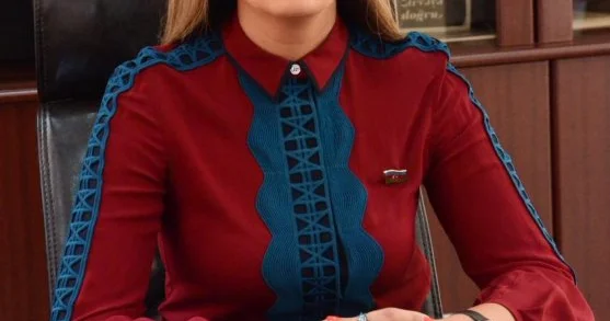 Azərbaycan uzun illərdir məqsədli dezinformasiya kampaniyalarının hədəfidir