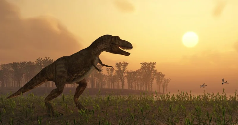 Avstraliyada ən böyük dinozavr izləri kolleksiyası tapıldı