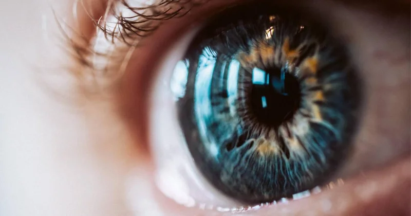 Gözə xeyir olan təbii QİDALAR