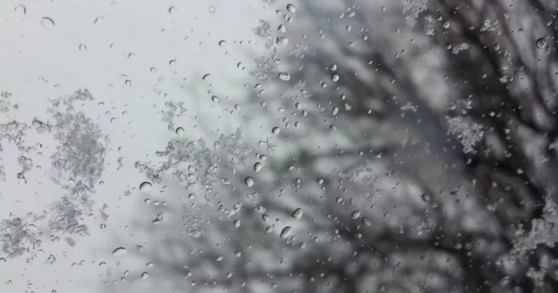 О погоде на завтра: пасмурно и дожди