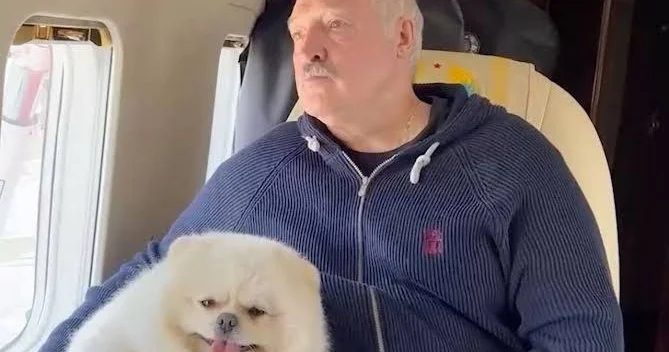 Зеленский: Белому шпицу Лукашенко оставлено больше прав, чем народу Беларуси Minval Politika