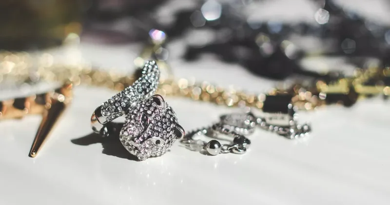 В США по ошибке депортировали фигуранта громкого дела о ювелирном ограблении