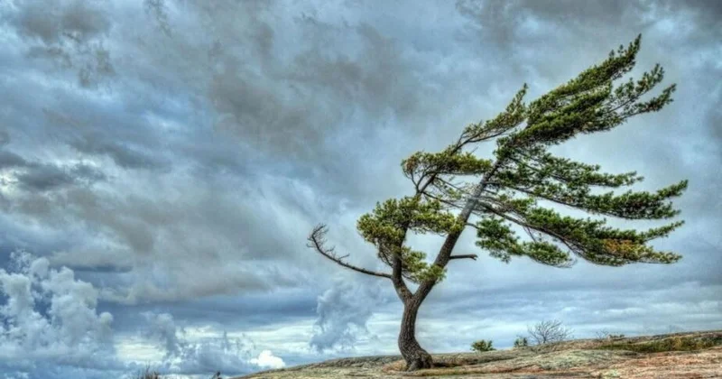 Ветер усилится ПРЕДУПРЕЖДЕНИЕ