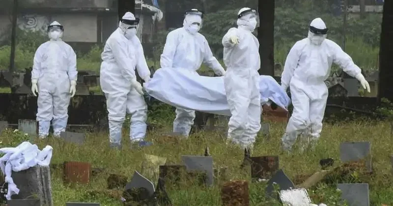 Hindistanda müalicəsi olmayan ölümcül virus yayılmağa başlayıb